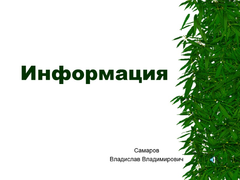 Информация Самаров  Владислав Владимирович